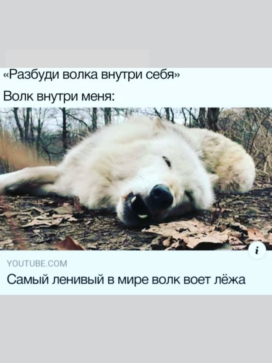 Скажи что тебе жаль