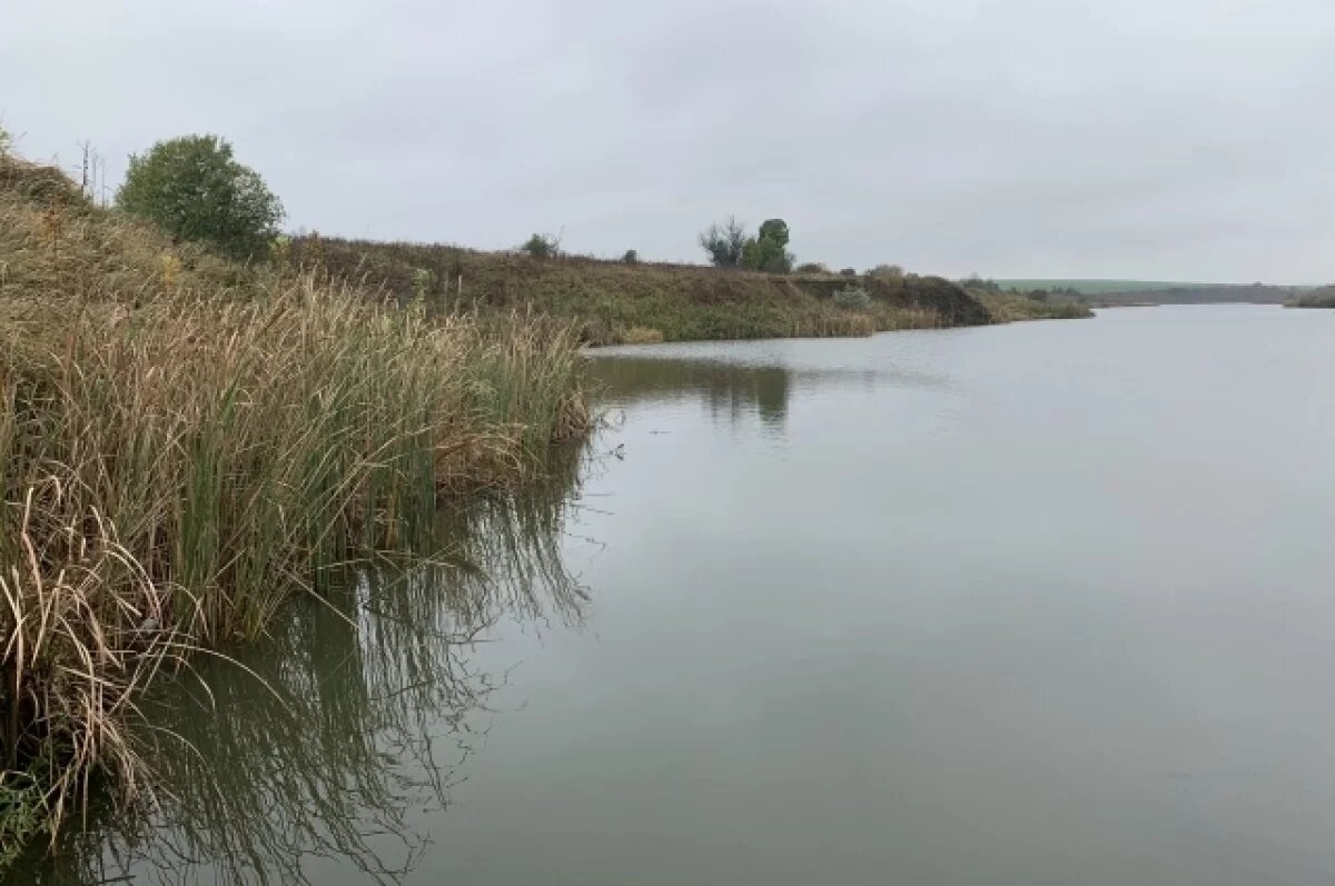    В Пермском крае из пруда вытащили тело погибшей 11-летней девочки