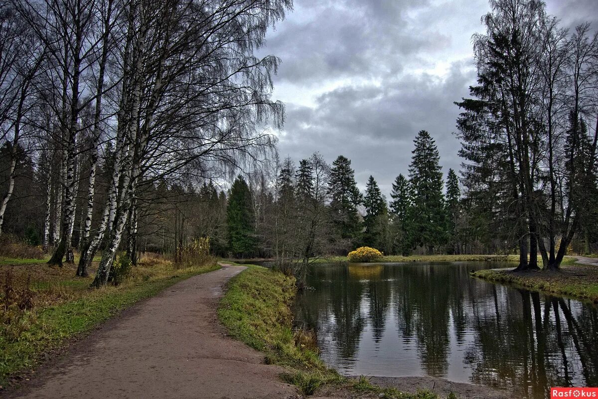 Шуваловский парк. Фото с сайта http://rasfokus.ru