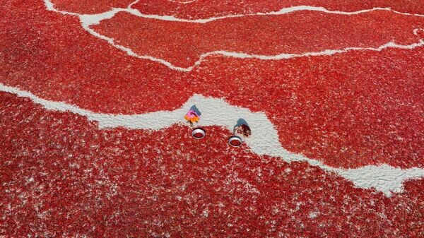    © Abdul Momin / stenincontest