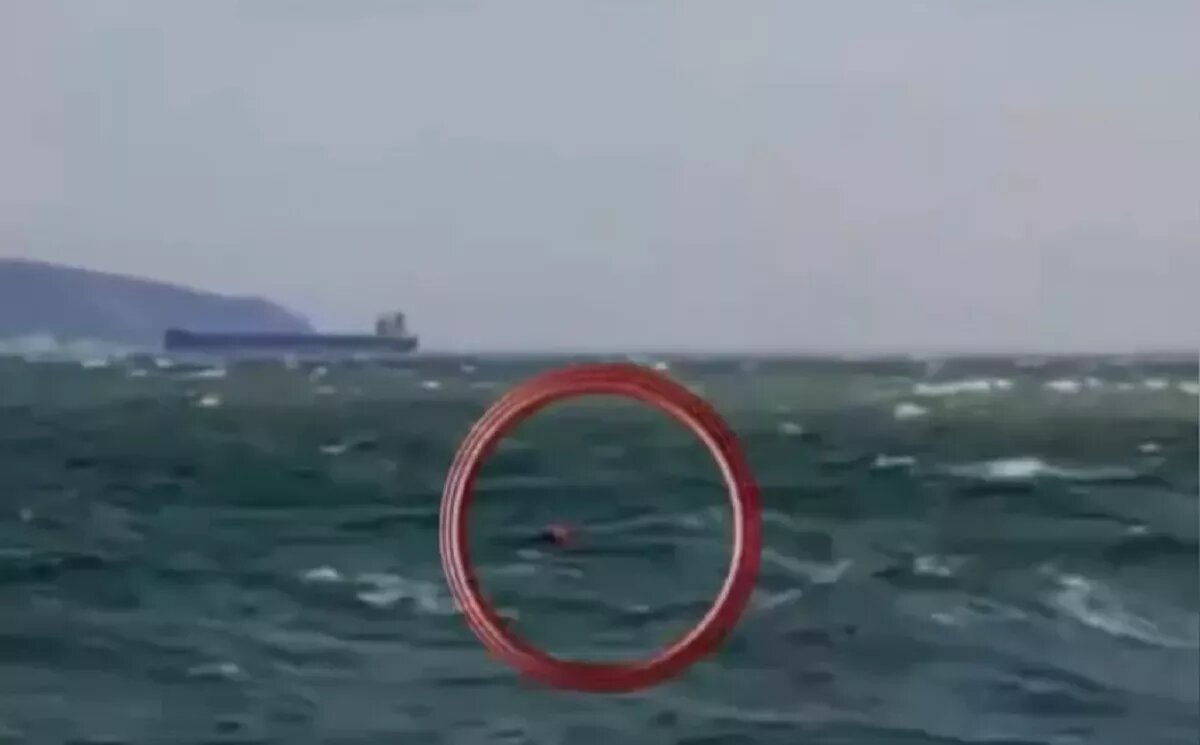 Скрин с видео. 