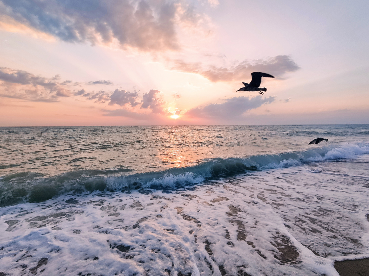 Закат в Николаевке // Фото: Туристический портал Республики Крым, Кристина Безумнова
