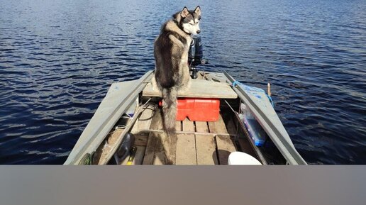 Путешествие на озеро Чусовское Пермский край. Отдых и немного рыбалки.