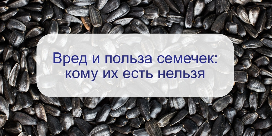 Диетолог назвала 6 полезных качеств подсолнечных семечек: но они могут и навредить вот этими свойствами