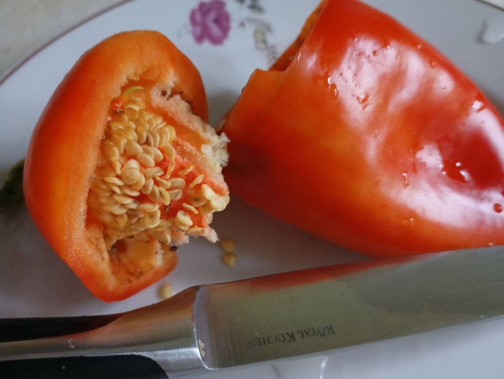  Семена перца