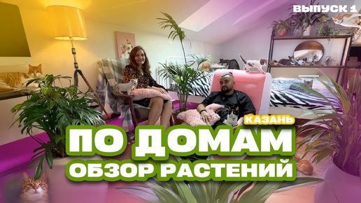 По домам! Выпуск 1. Обзор комнатных растений в Казани от Maxgreenhome! #растения #комнатныерастения