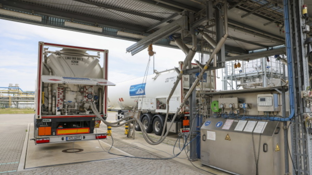    Фото: © Jan Woitas/dpa/Globallookpress