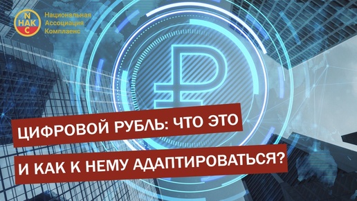 Цифровой рубль: что это и как к нему адаптироваться?