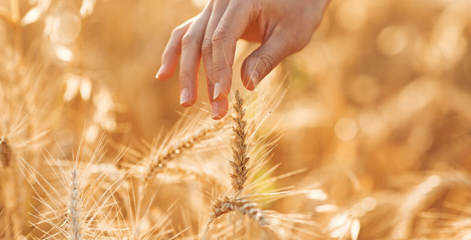 Фото: prostooleh/Freepik