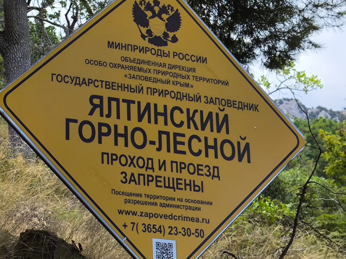 Парадиз в крыму айвазовский парк. Гурзуфский парк. Парк мисхор крым. Форосский парк. Южный берег киева.
