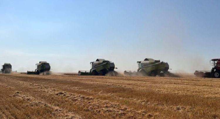    2 млн тонн зерна у татарстанских аграриев к 26 августа