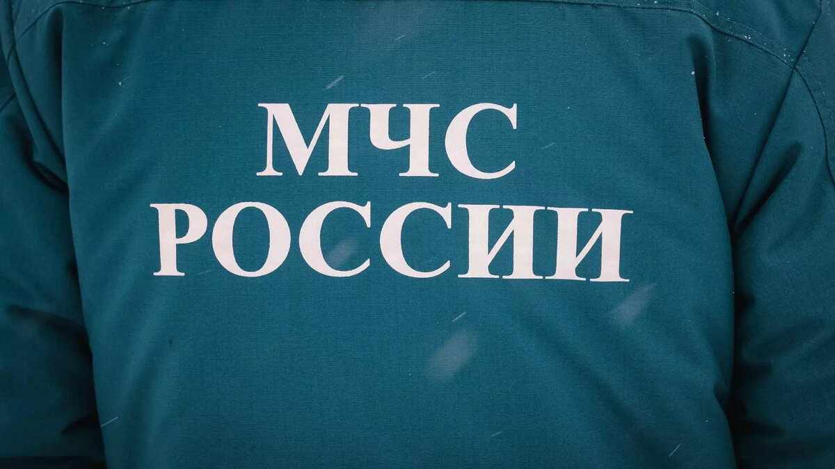     Источник: 1MI