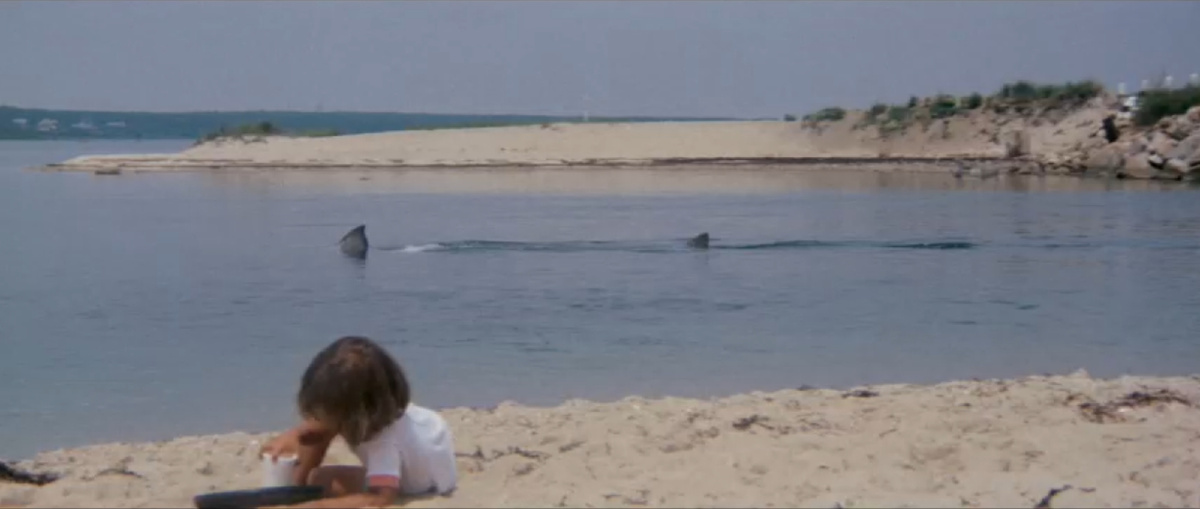 Кадр из фильма "Челюсти" 1975 г.