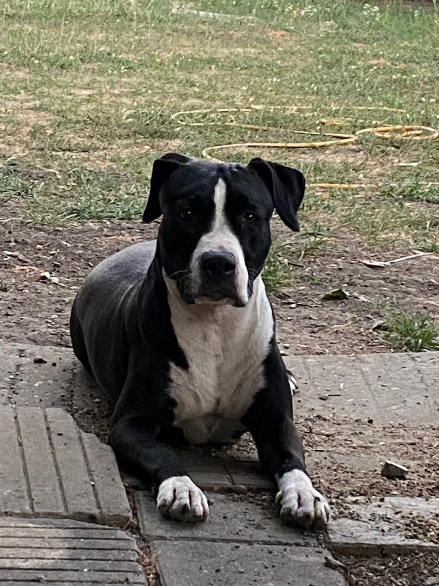 Смотрит очень внимательно 