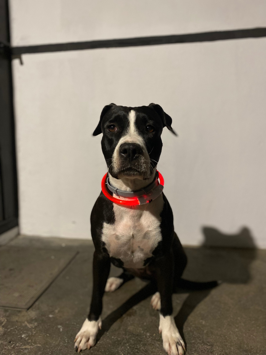 Моя звезда ⭐️ 