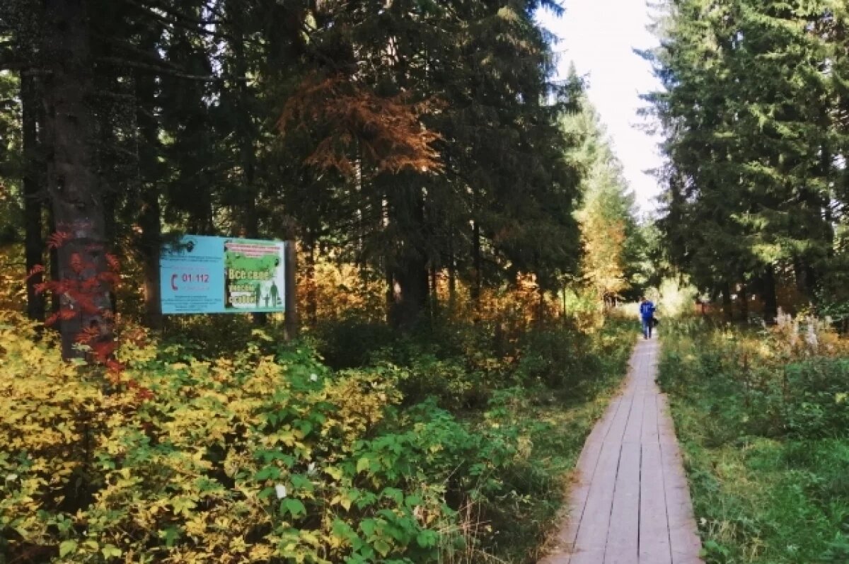    Троим заблудившимся помогли спасатели, остальные вышли сами.