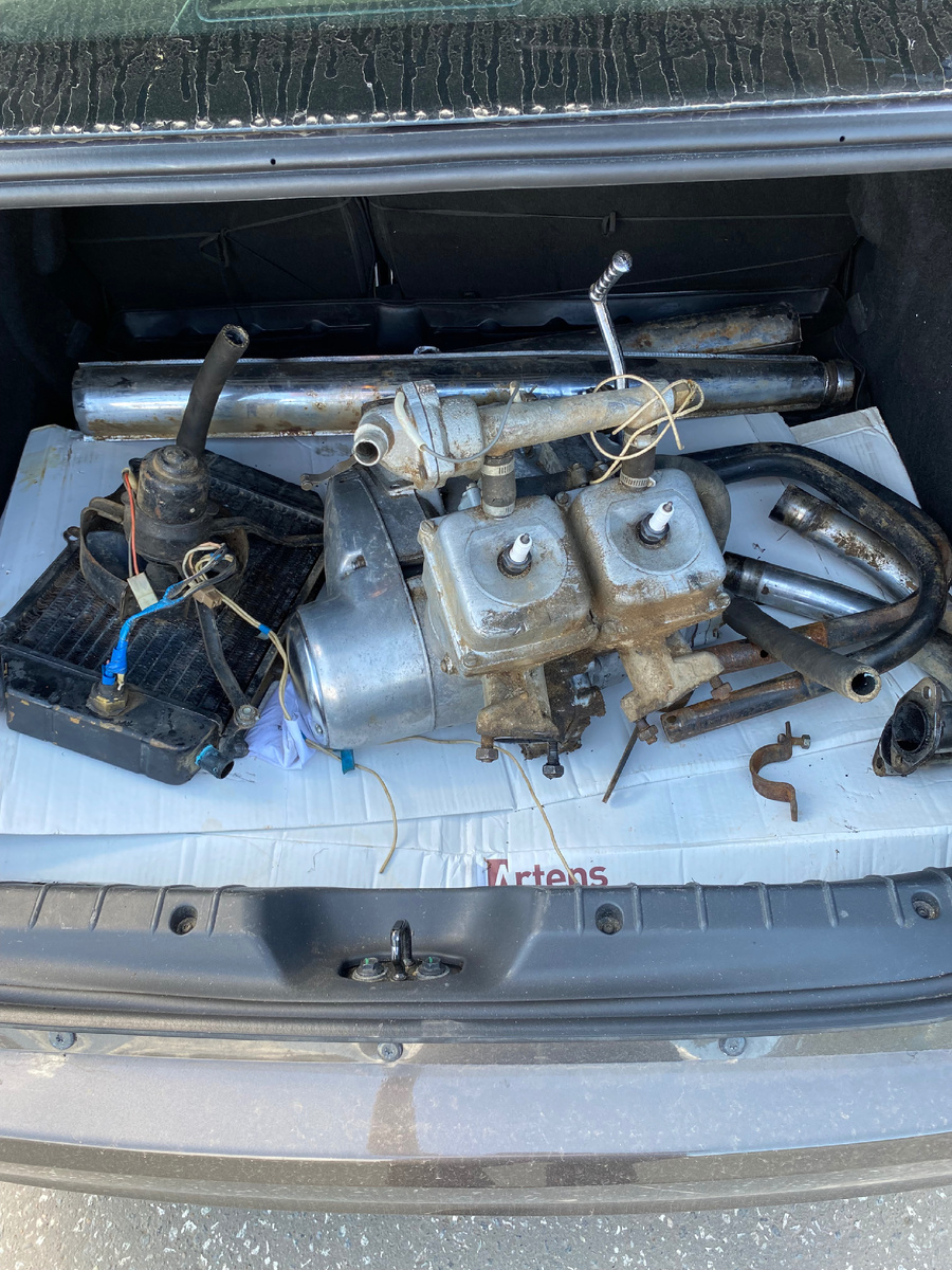 Долгожданный кит 😎