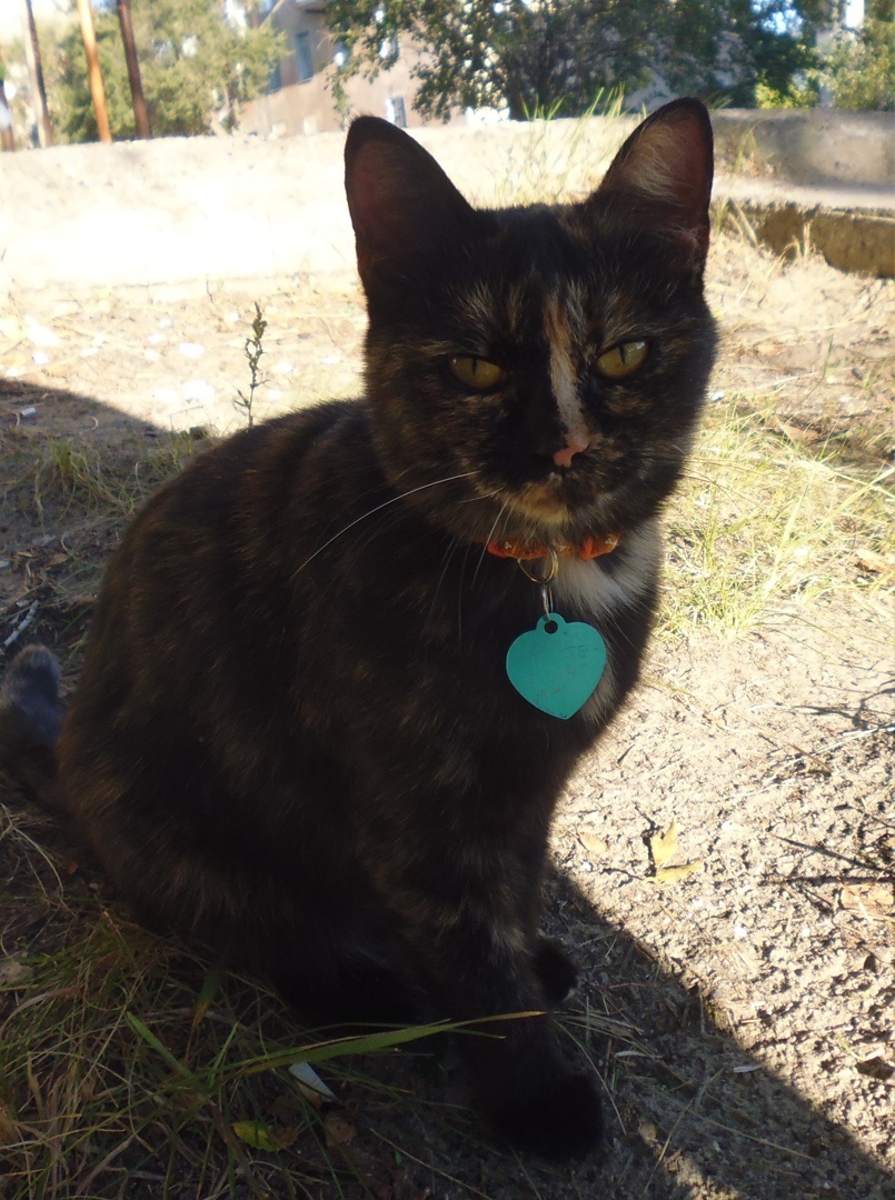 Первый день на улице после приюта