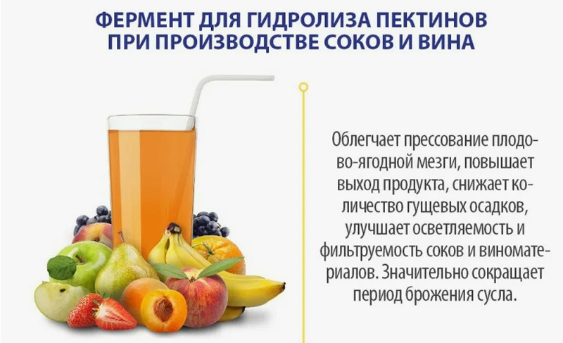 Что такое пектиназа