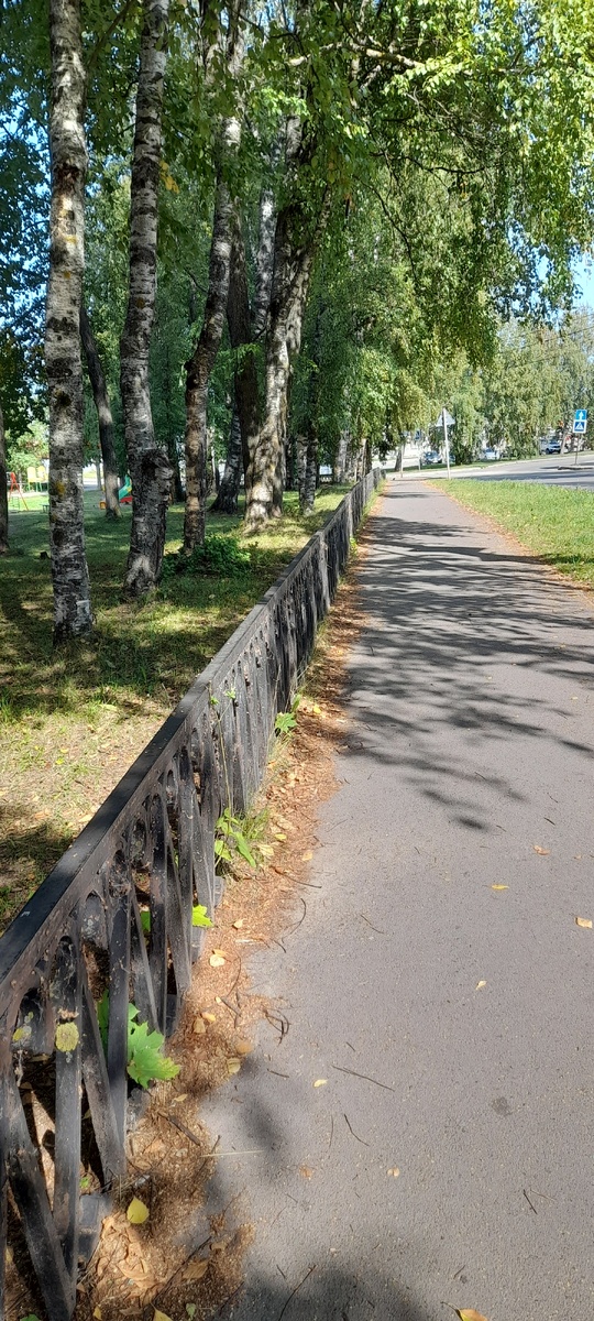 Последние летние денёчки...