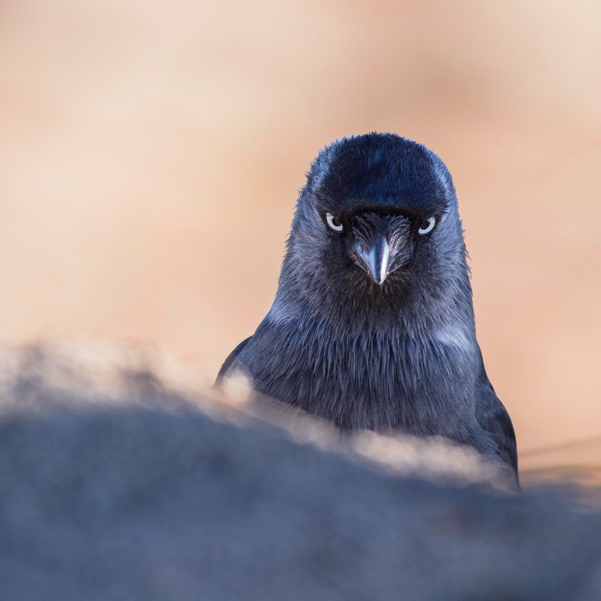 Взгляд девушки, когда парень купил вкусняшек только для себя. 