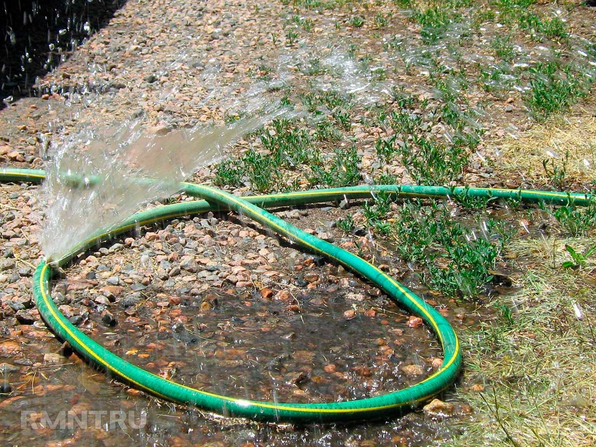   Фото yardbutler.com