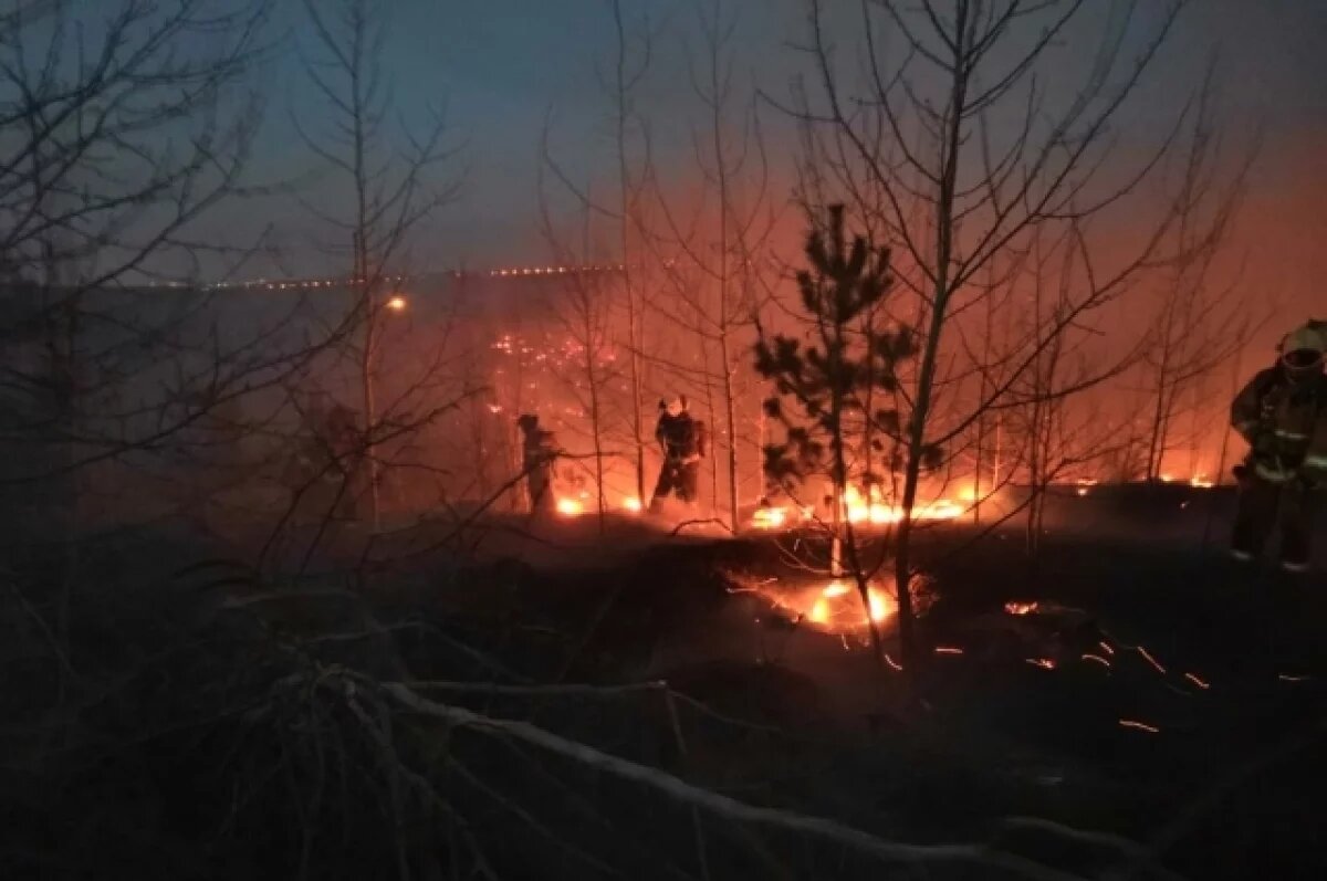    На помощь в тушении пожара в Феодосии призвали волонтеров