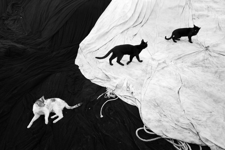 Источник: boredpanda.com