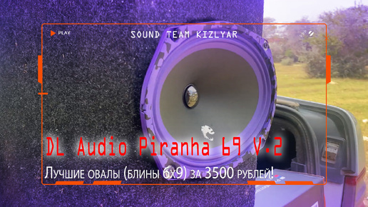 Лучшие овалы (блины 6x9) за 3500 рублей! DL Audio Piranha 69 V.2