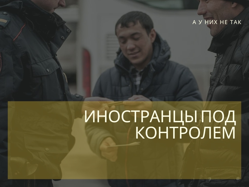 Фото: emcmo.mosreg.ru