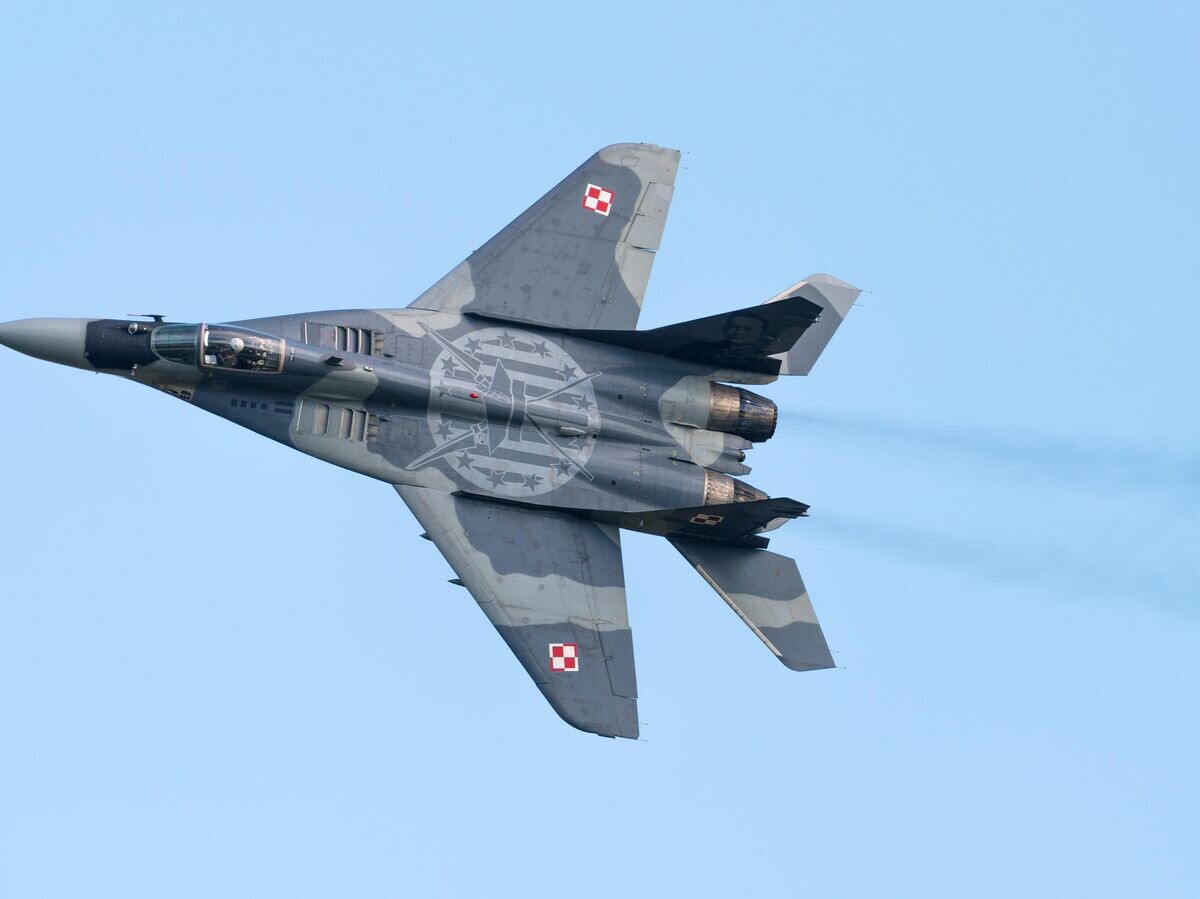    Самолет МиГ-29А ВВС ПольшиCC BY 4.0 / Julian Herzog / Polish Air Force Mikoyan-Gurevich MiG-29A