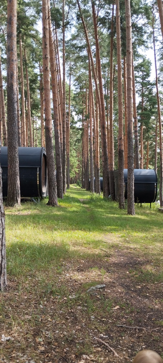 Симпатичный глэмпинг недалеко от нас, но цена кусается. 16 000 руб за мини домик на двоих