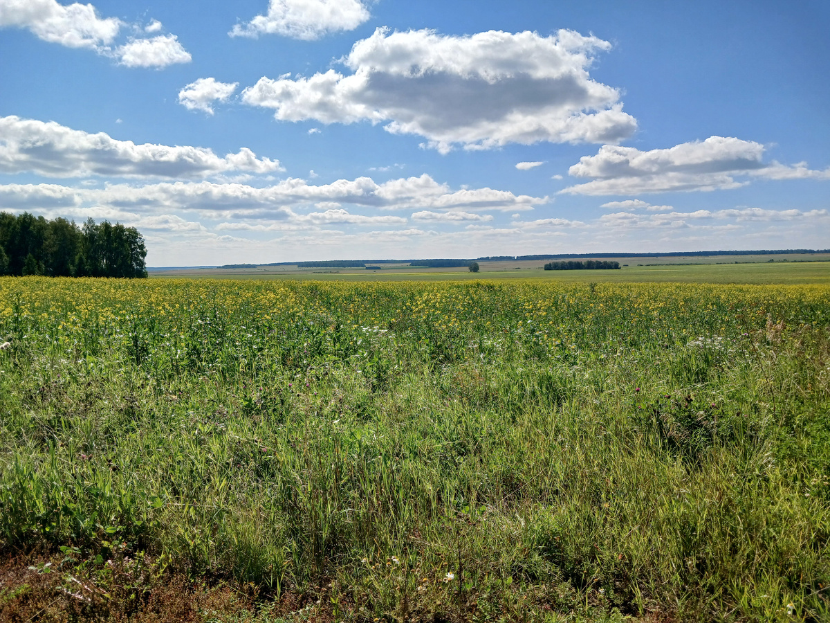 "Доброе утро, мир! Ты прекрасен!" Фото автора 