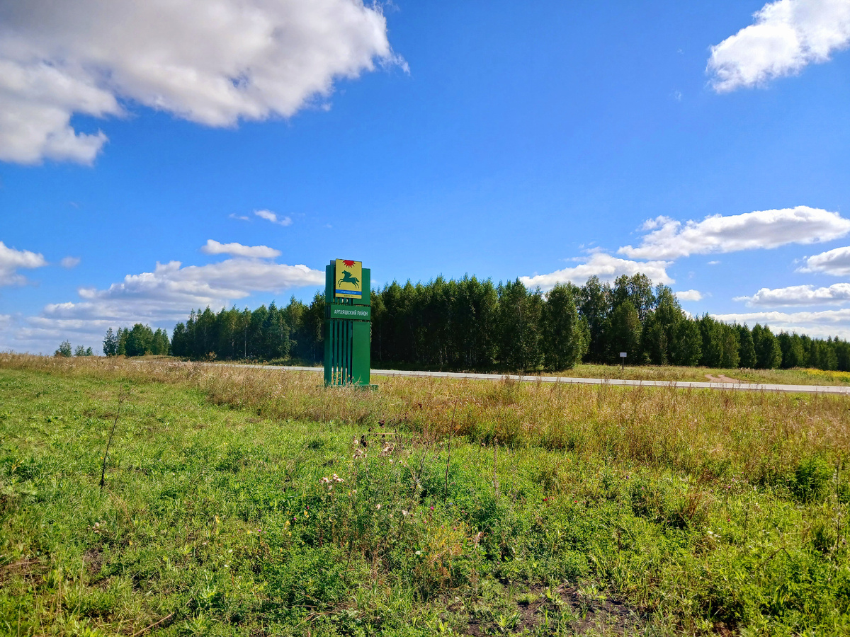 Тут мы всегда тормозим и ныряем в чащу) фото автора 