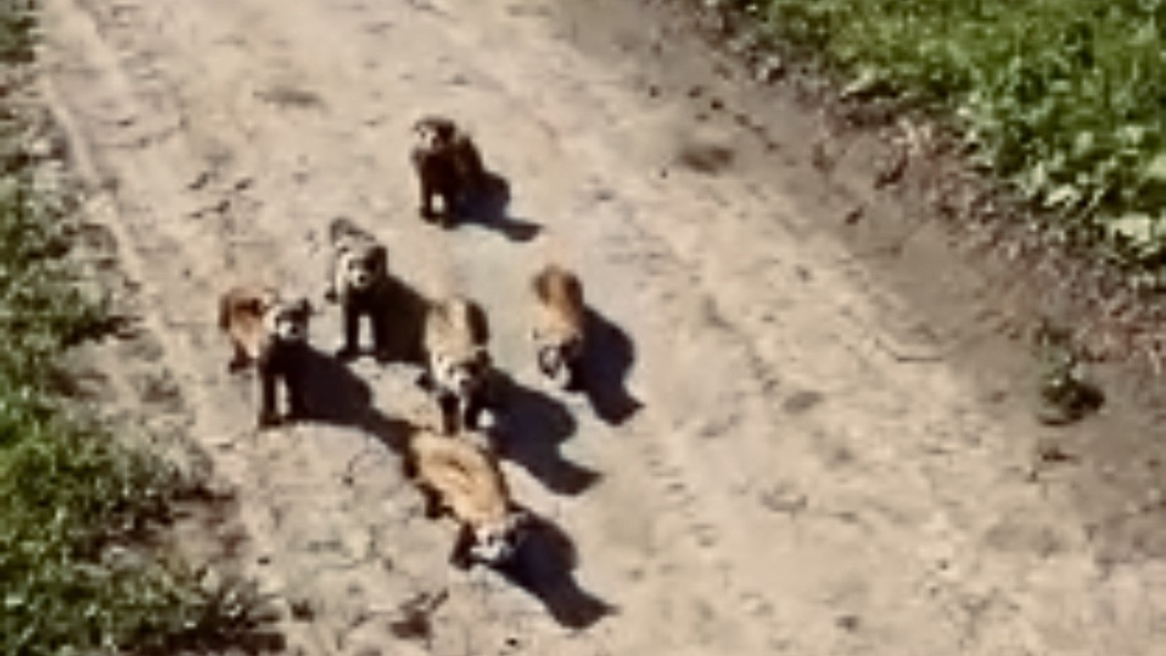    Фото: соцсети