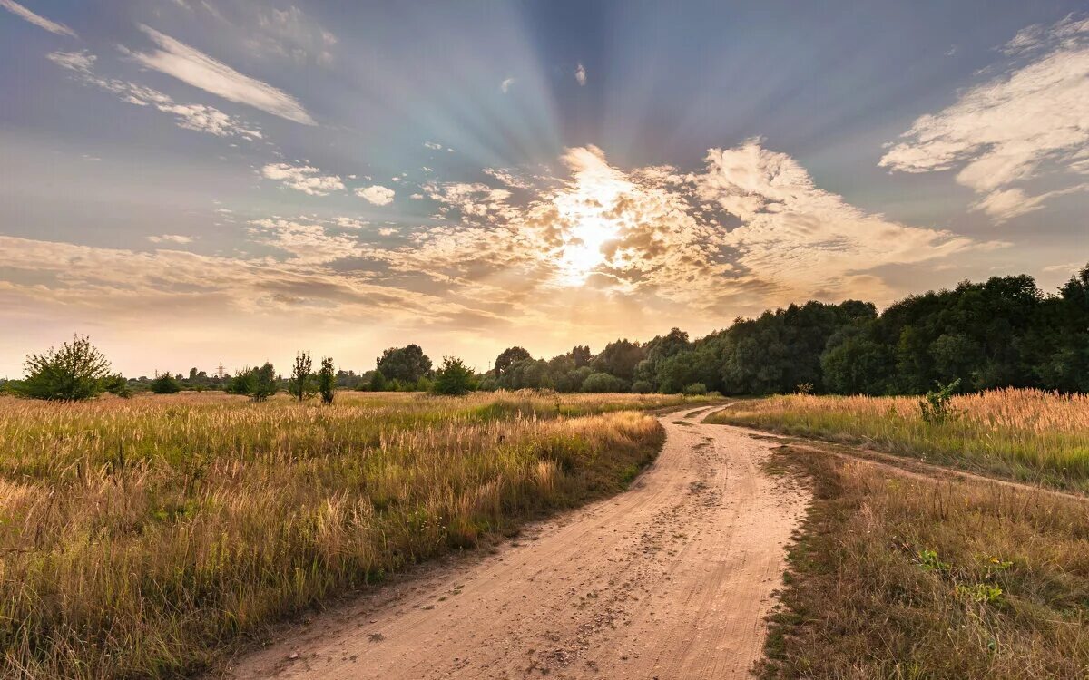 Околодеревенские пейзажи августа