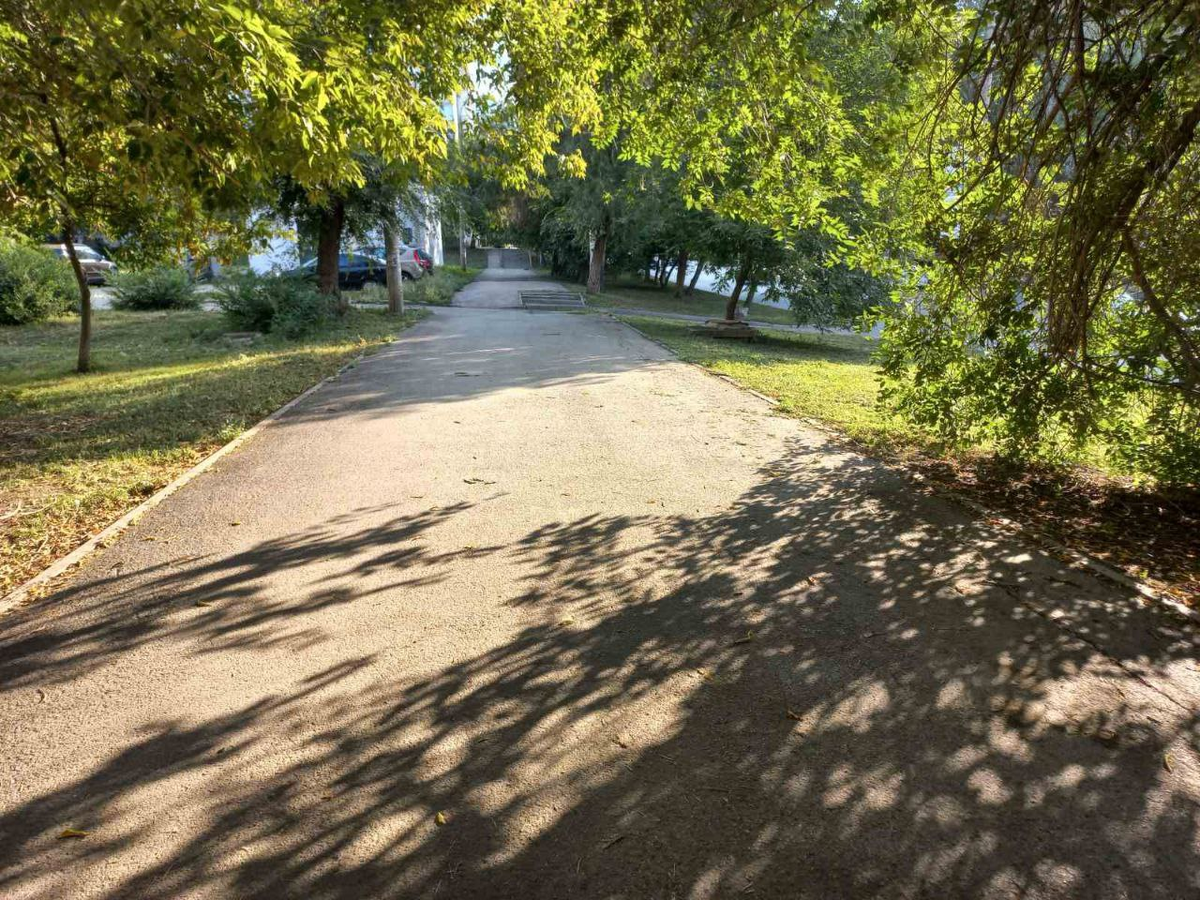 Фото автора.