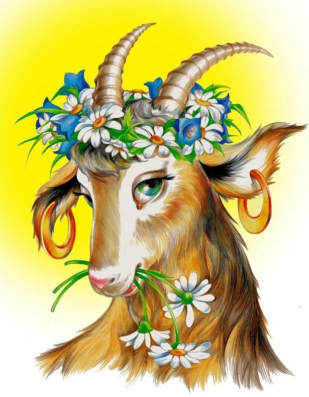 Фото из открытых источников интернета