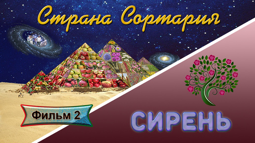 Страна Сортария. Фильм 2. Сирень.