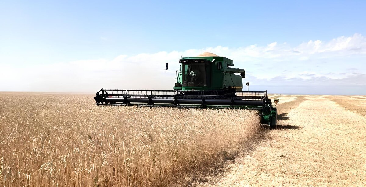 Фото: Э.Двуреченский