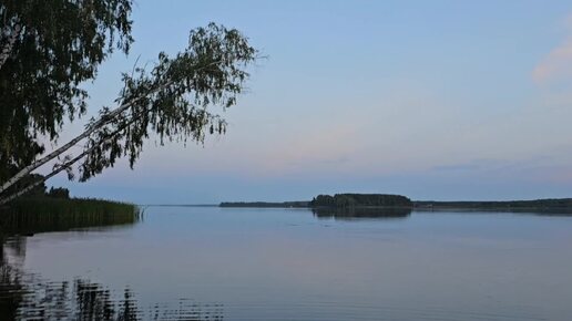 Собираем рогоз в августе: для плетения корзин, украшений, обуви