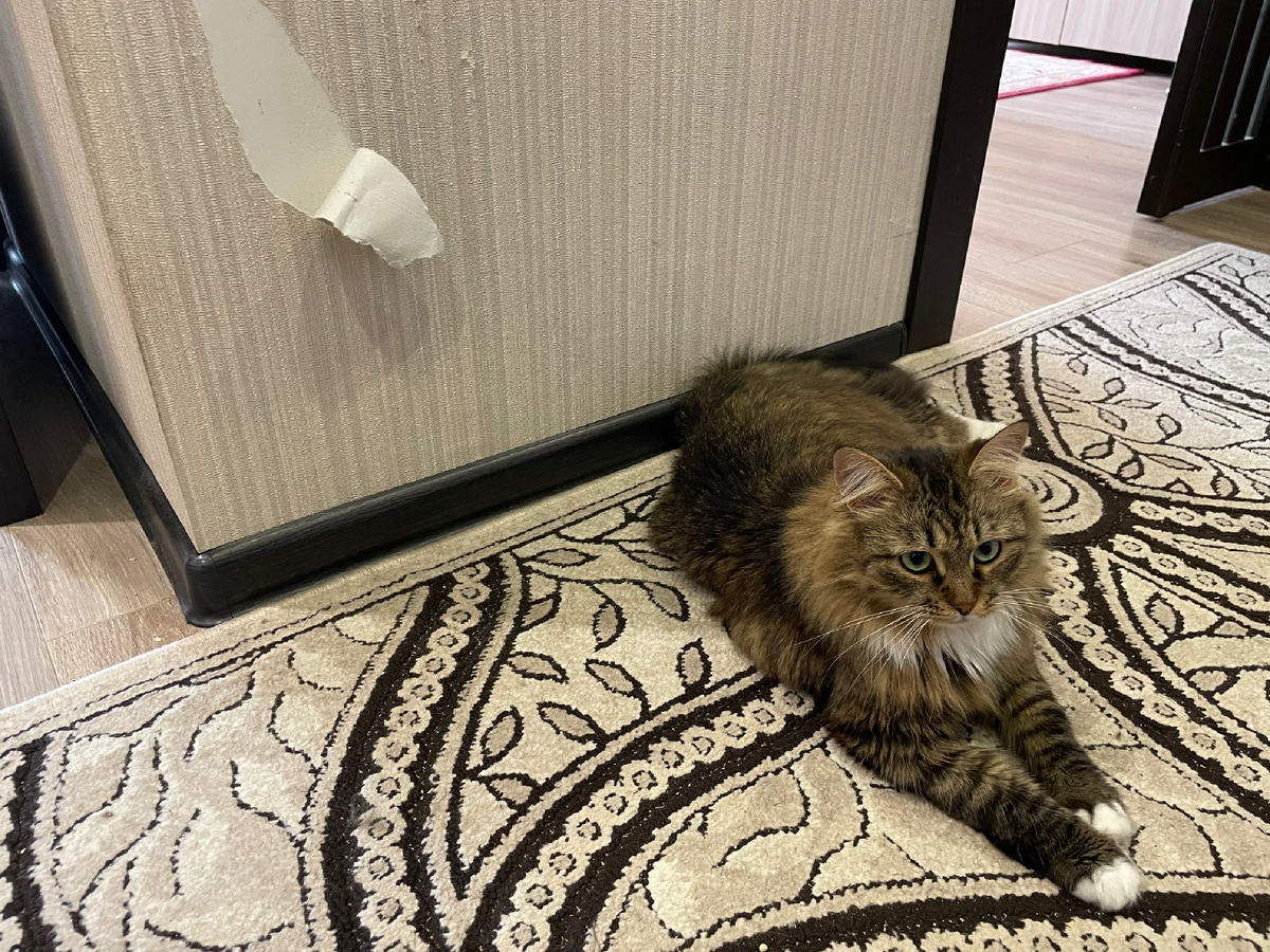 Я от него такого не ожидала