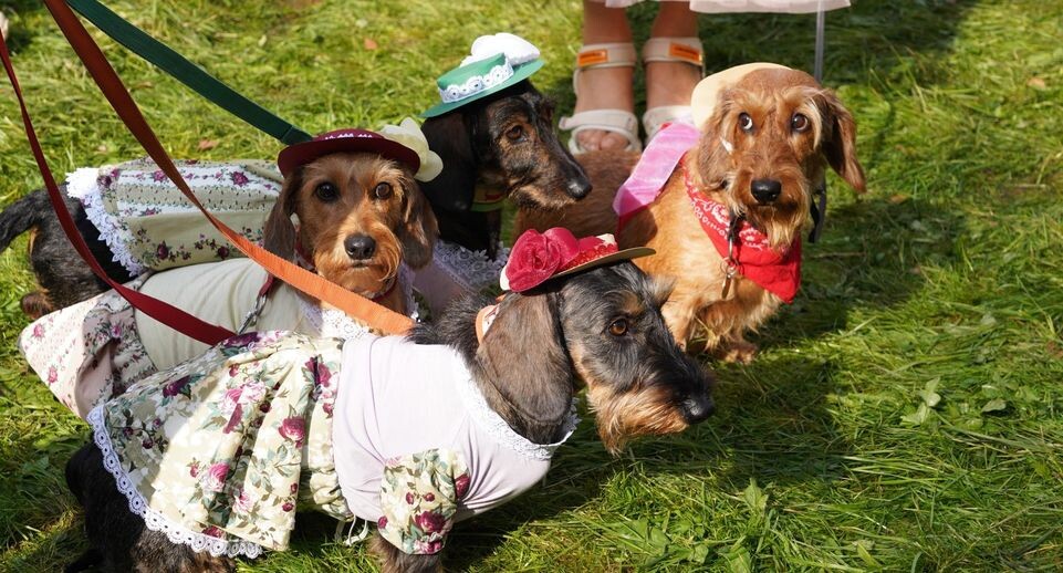    Министерство культуры и туризма Московской области