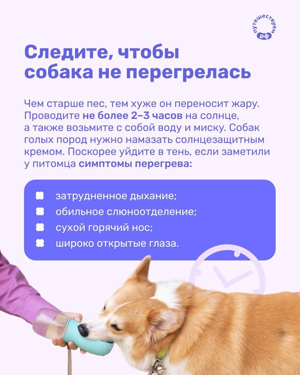 -2-2