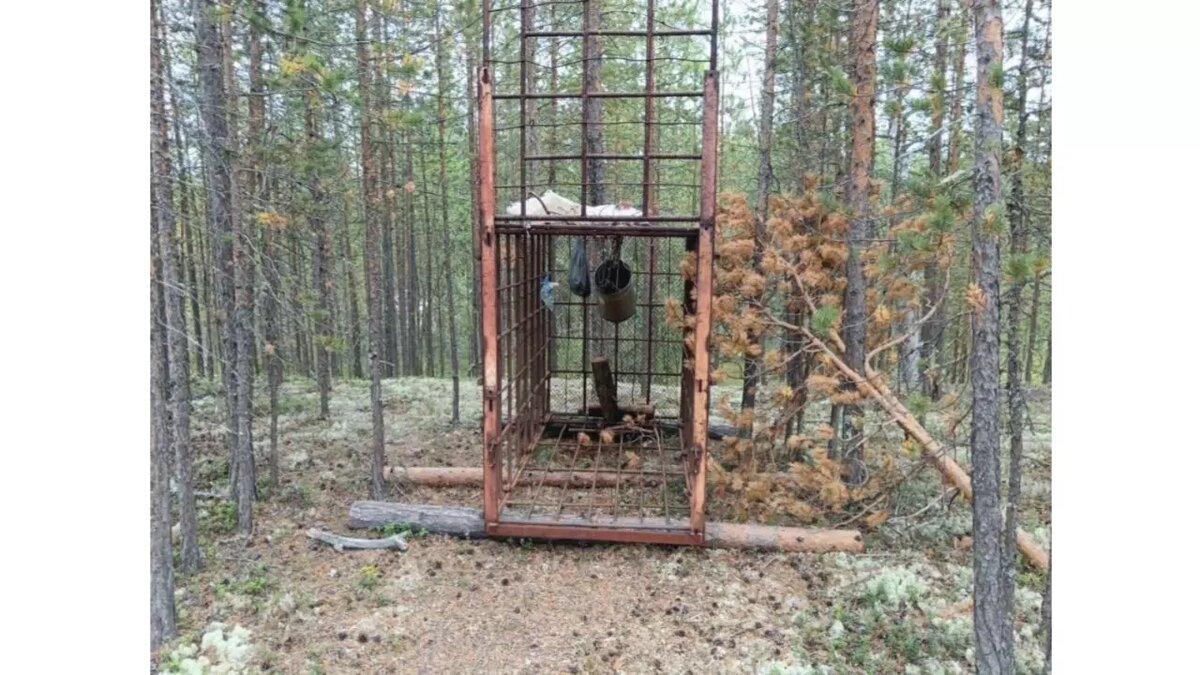     Источник: Департамент природных ресурсов ЯНАО