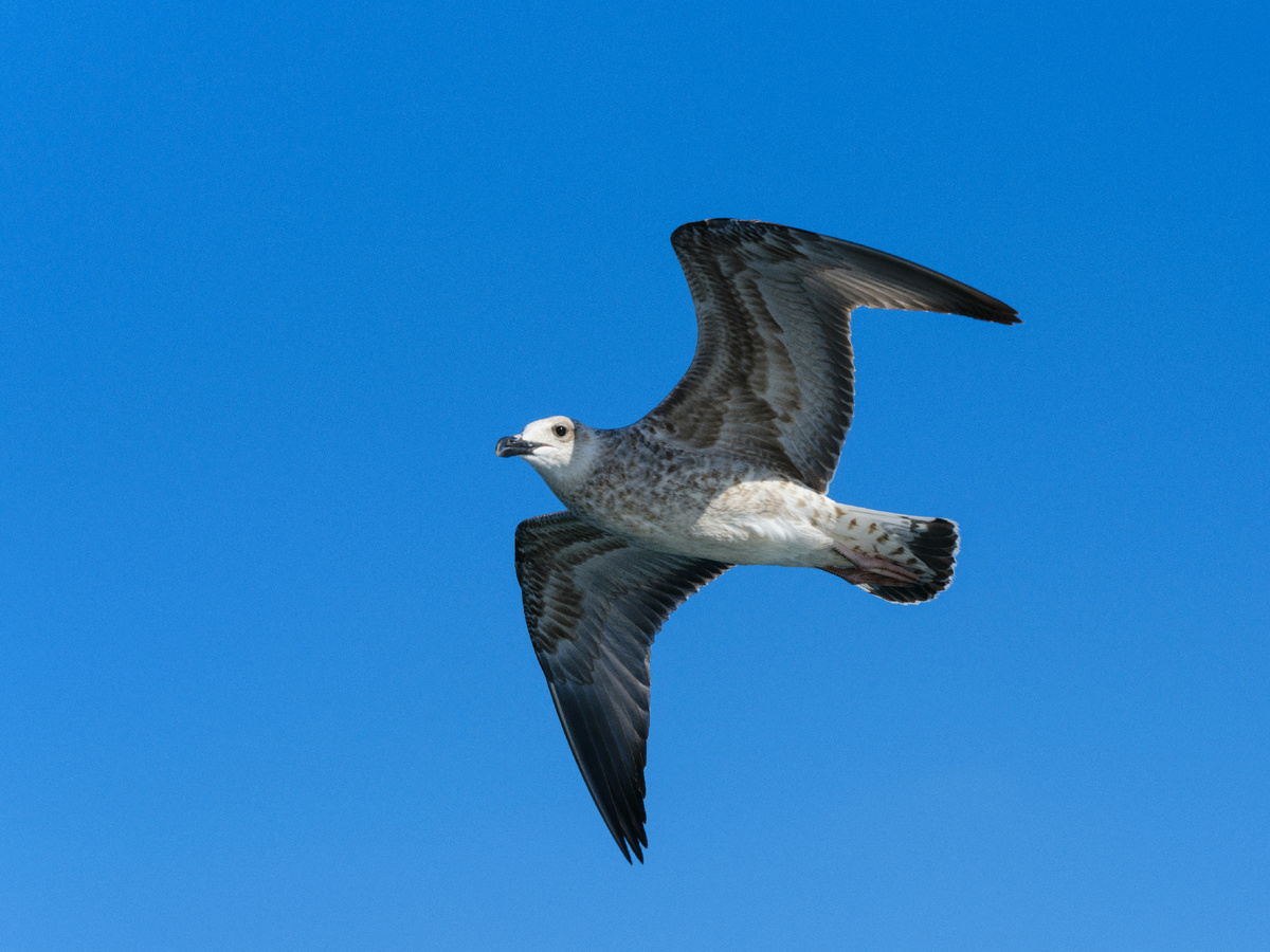 Картинка с бесплатного фотостока https://unsplash.com, автор engin akyurt