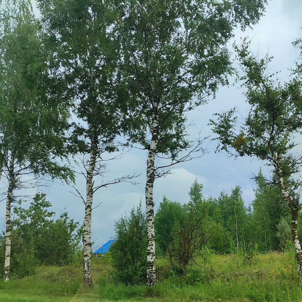 Русские просторы