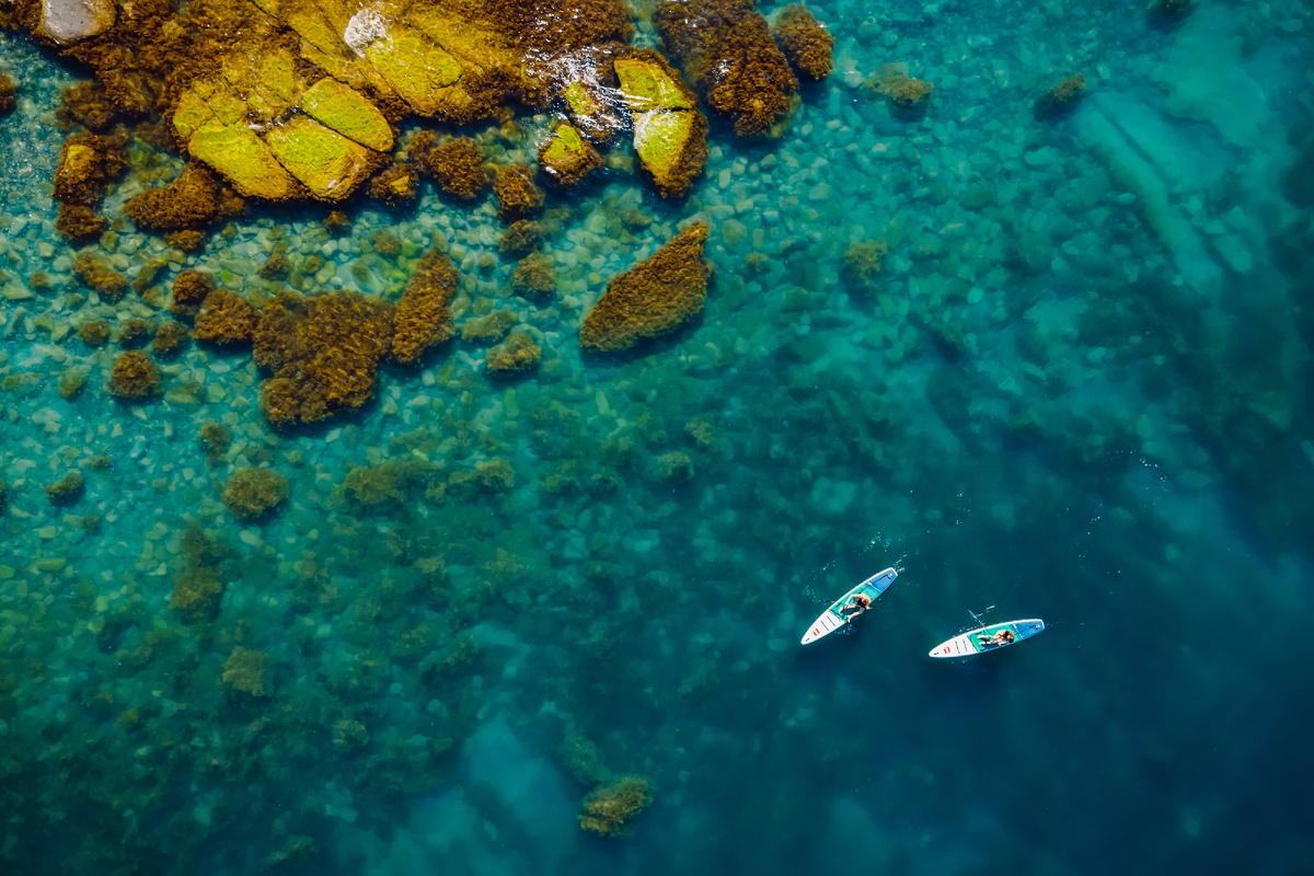 © Wonderful Nature/ Shutterstock