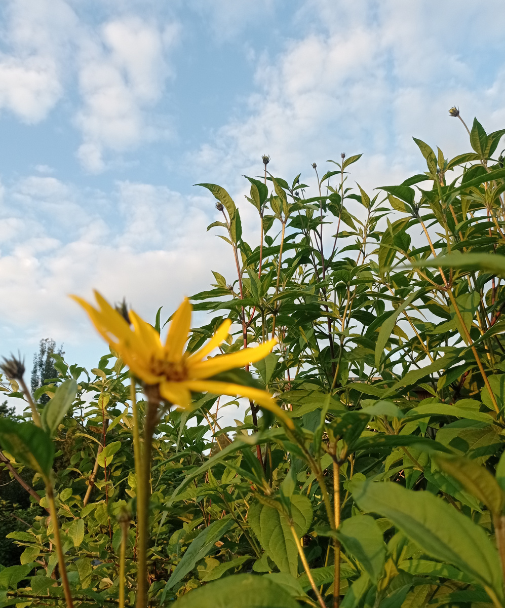 Утро солнечное сегодня