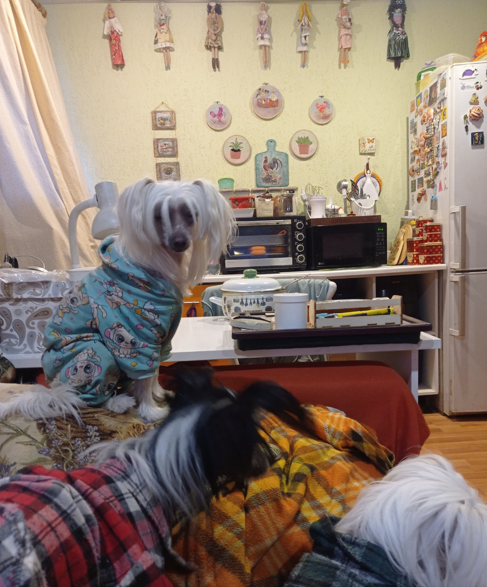 Посидите хоть минутку